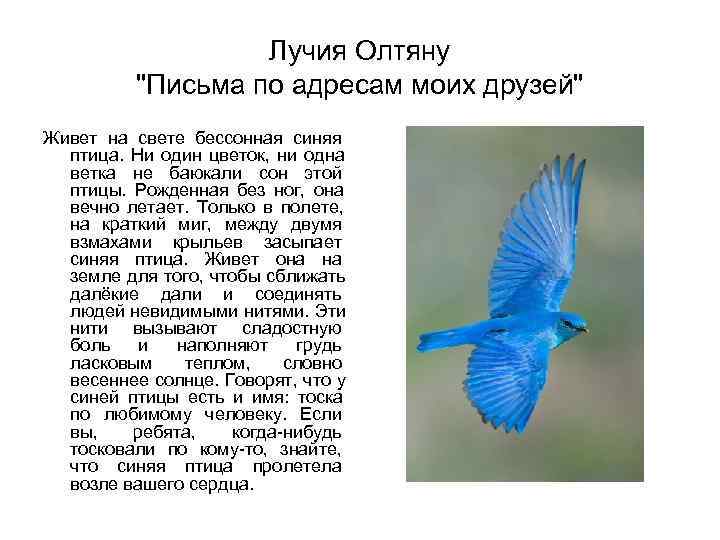     Лучия Олтяну  