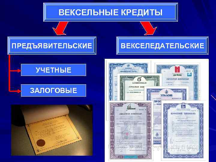    ВЕКСЕЛЬНЫЕ КРЕДИТЫ  ПРЕДЪЯВИТЕЛЬСКИЕ  ВЕКСЕЛЕДАТЕЛЬСКИЕ  УЧЕТНЫЕ ЗАЛОГОВЫЕ 