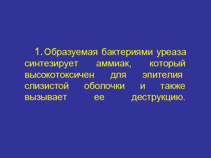  1. Образуемая бактериями уреаза синтезирует  аммиак, который высокотоксичен  для эпителия слизистой