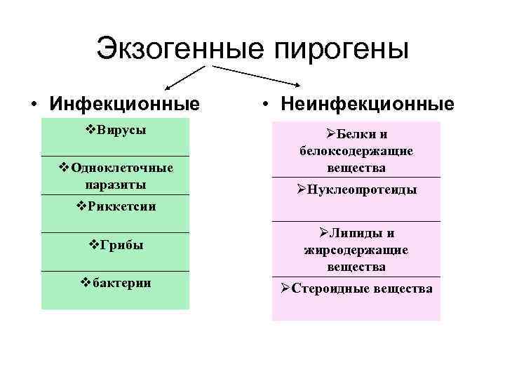 Экзогенные пирогены