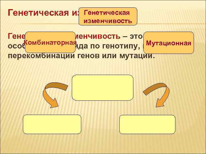 Генетическая изменчивость Генетическая изменчивость Генетическая изменчивость – это отличия Генетическая изменчивость Генетическая изменчивость Генетическая изменчивость – это отличия