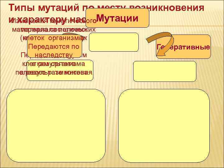 Типы мутаций по месту возникновения Мутации и характеру наследования Изменения генетического Типы мутаций по месту возникновения Мутации и характеру наследования Изменения генетического
