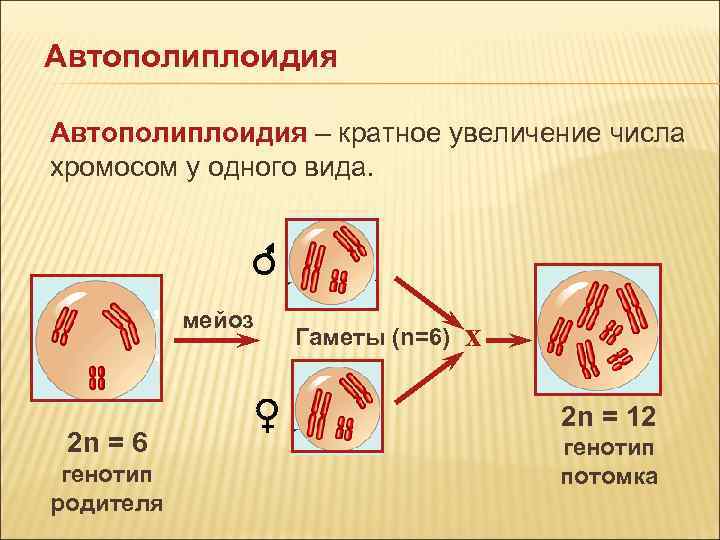 Произвольное увеличение числа файлов или их удаление указывает на присутствие в оперативной памяти