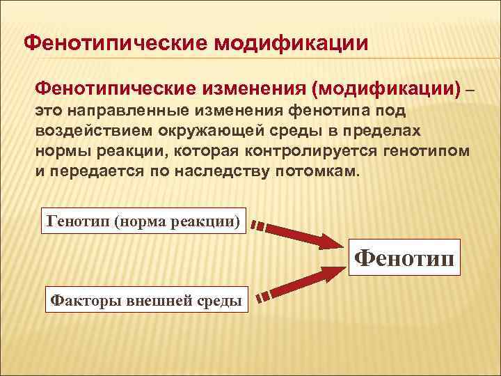Фенотипические модификации Фенотипические изменения (модификации) – это направленные изменения фенотипа под воздействием окружающей среды Фенотипические модификации Фенотипические изменения (модификации) – это направленные изменения фенотипа под воздействием окружающей среды