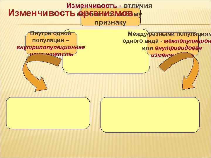 Схема виды изменчивости