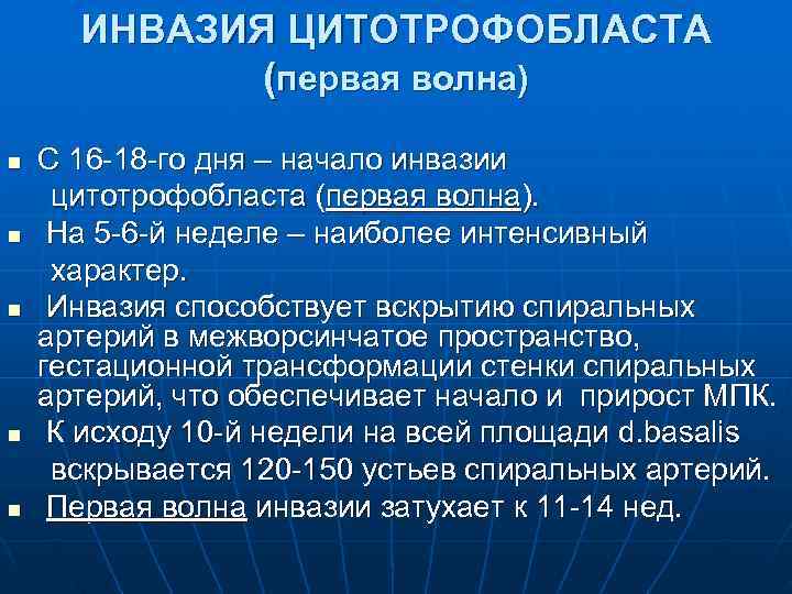 ИНВАЗИЯ ЦИТОТРОФОБЛАСТА (первая волна) n С 16 -18 -го дня ИНВАЗИЯ ЦИТОТРОФОБЛАСТА (первая волна) n С 16 -18 -го дня