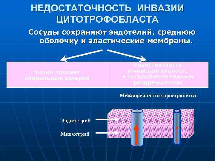 Инвазия лейкоцитами сосудистой стенки механизмы инвазии