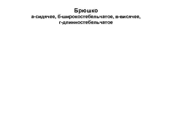 Брюшко а-сидячее, б-широкостебельчатое, в-висячее, г-длинностебельчатое Брюшко а-сидячее, б-широкостебельчатое, в-висячее, г-длинностебельчатое