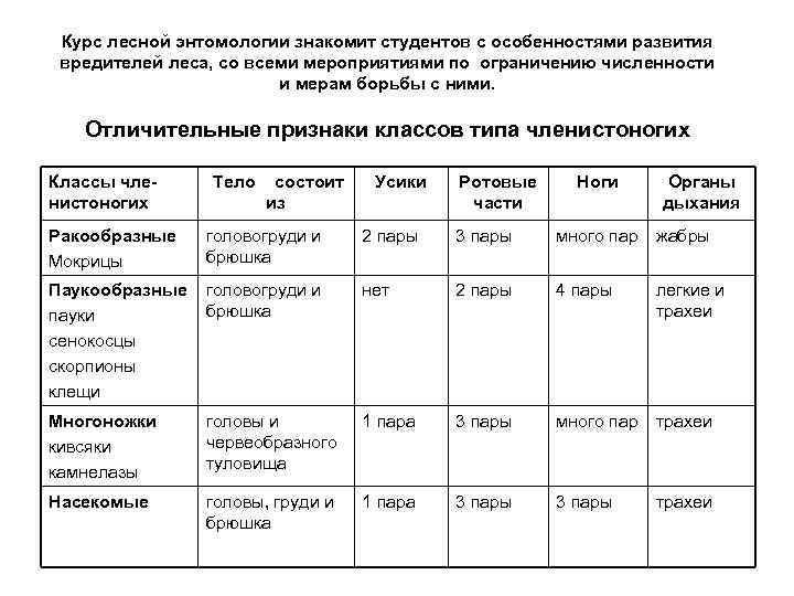 Курс лесной энтомологии знакомит студентов с особенностями развития вредителей леса, со всеми мероприятиями Курс лесной энтомологии знакомит студентов с особенностями развития вредителей леса, со всеми мероприятиями