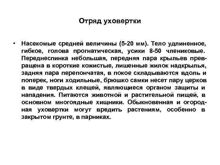     Отряд уховертки  • Насекомые средней величины (5 -20 мм).