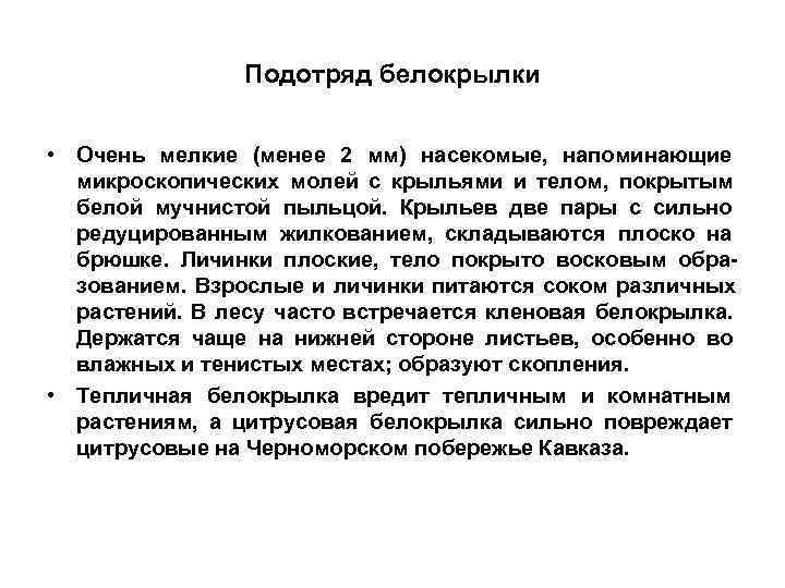    Подотряд белокрылки  • Очень мелкие (менее 2 мм) насекомые,