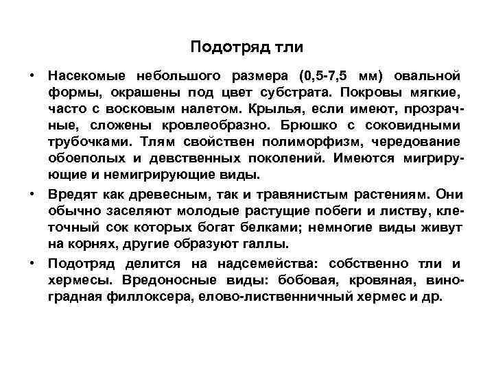     Подотряд тли • Насекомые небольшого размера (0, 5 -7, 5