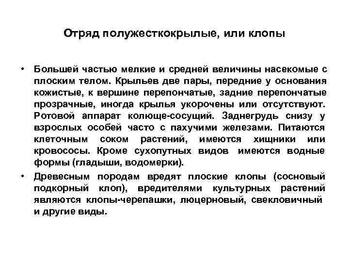   Отряд полужесткокрылые, или клопы  • Большей частью мелкие и средней величины