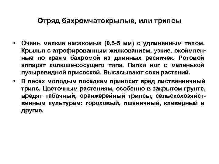   Отряд бахромчатокрылые, или трипсы  • Очень мелкие насекомые (0, 5 -5