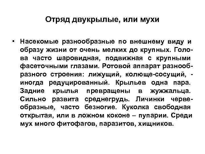   Отряд двукрылые, или мухи  • Насекомые разнообразные по внешнему виду и