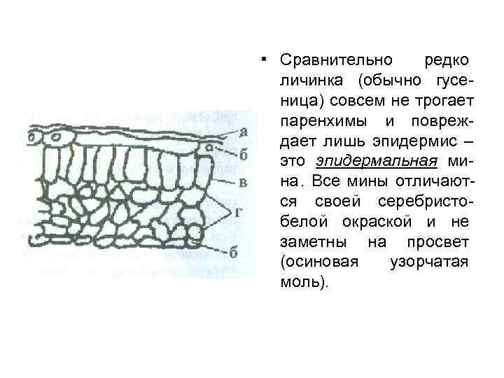 • Сравнительно редко  личинка (обычно гусе-  ница) совсем не трогает 