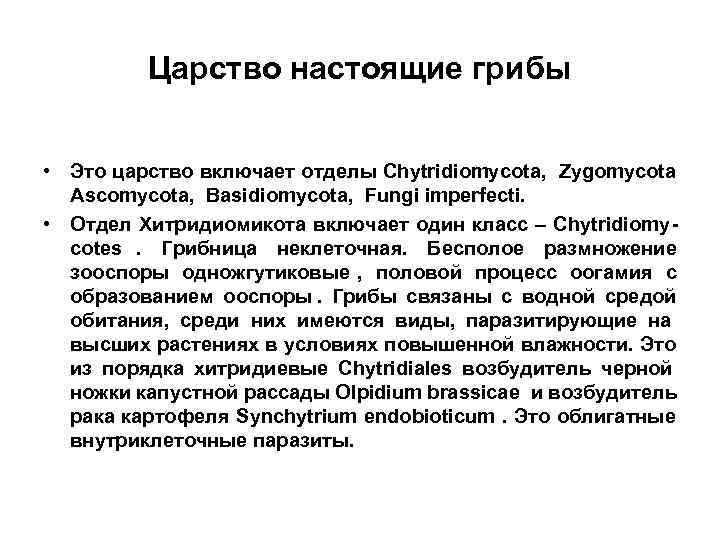    Царство настоящие грибы  • Это царство включает отделы Chytridiomycota, Zygomycota