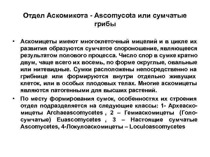   Отдел Аскомикота - Ascomycota или сумчатые    грибы  •