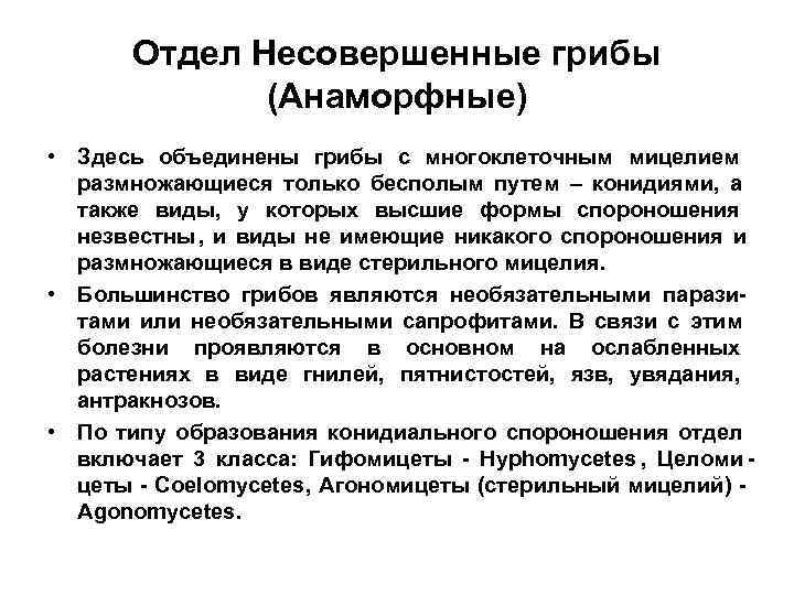  Отдел Несовершенные грибы   (Анаморфные) • Здесь объединены грибы с многоклеточным мицелием