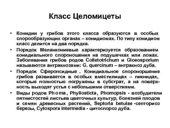     Класс Целомицеты  • Конидии у грибов этого класса образуются