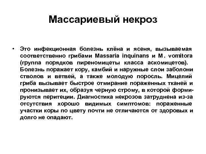   Массариевый некроз  • Это инфекционная болезнь клёна и ясеня, вызываемая 