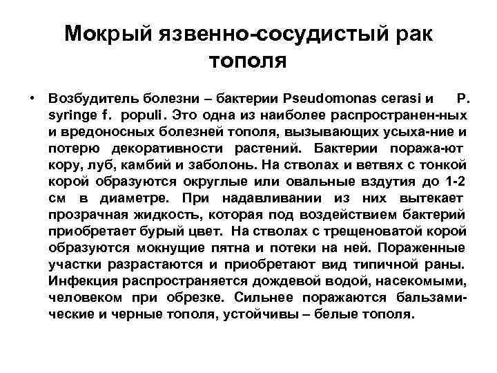   Мокрый язвенно-сосудистый рак    тополя • Возбудитель болезни – бактерии