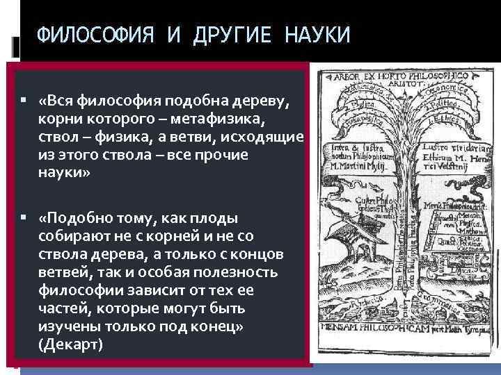  ФИЛОСОФИЯ И ДРУГИЕ НАУКИ «Вся философия подобна дереву,  корни которого – метафизика,