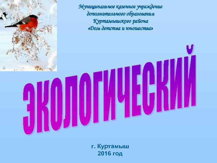 Муниципальное казенное учреждение  дополнительного образования Куртамышского района «Дом детства и юношества»  г.