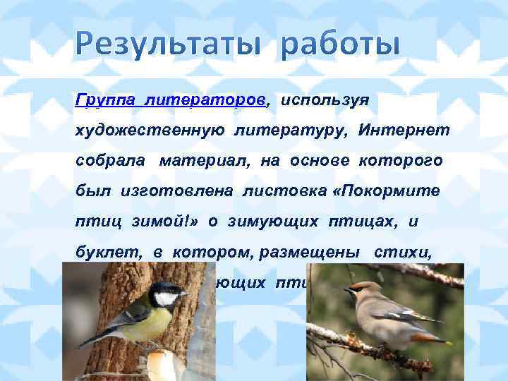 Группа литераторов, используя художественную литературу, Интернет собрала материал, на основе которого был изготовлена листовка