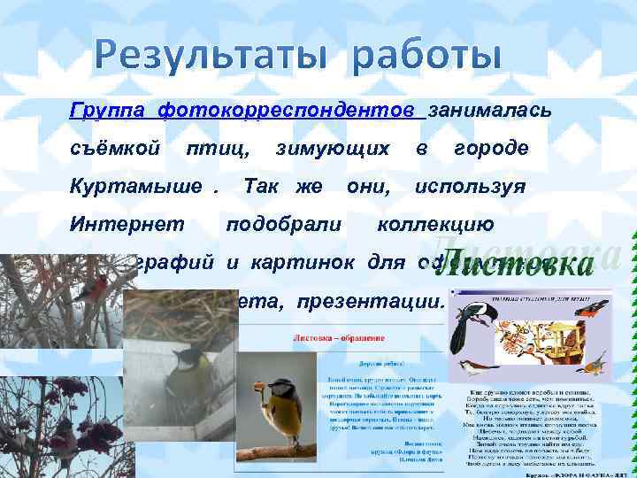 Группа фотокорреспондентов занималась съёмкой  птиц,  зимующих в  городе Куртамыше. Так же