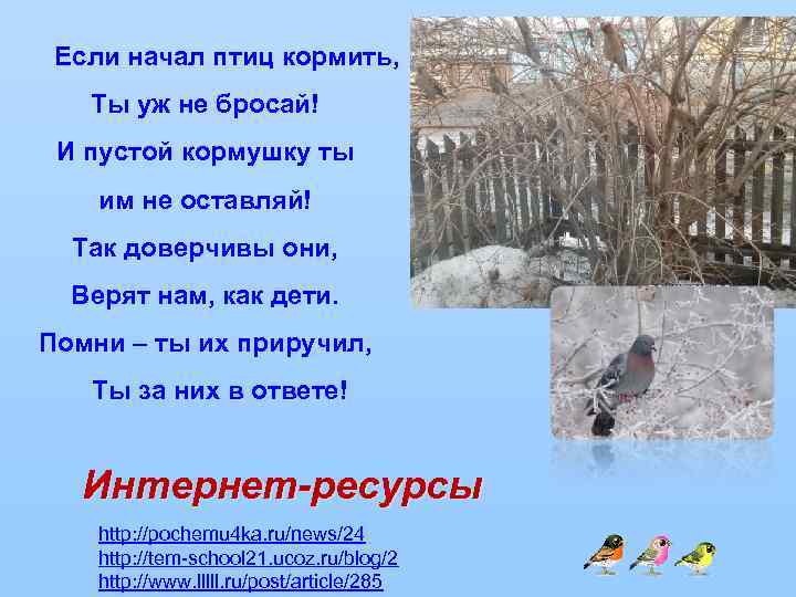  Если начал птиц кормить,  Ты уж не бросай!  И пустой кормушку