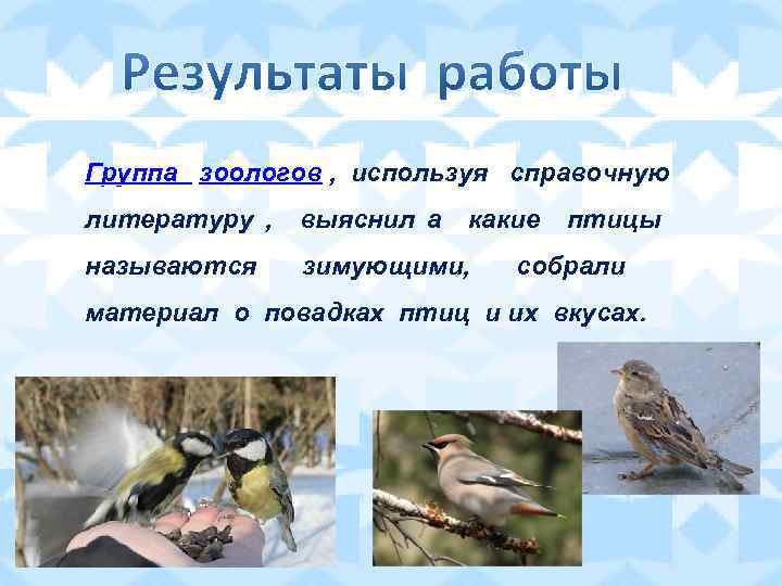 Группа зоологов , используя справочную литературу , выяснил а какие птицы называются  зимующими,