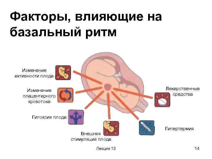 Риск гипоксии. Факторы риска развития гипоксии плода. Внутриутробная гипоксия плода и асфиксия новорожденного. Интранатальная гипоксия плода.