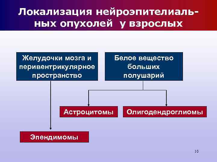 Локализация нейроэпителиаль- ных опухолей у взрослых Желудочки мозга и Белое вещество перивентрикулярное Локализация нейроэпителиаль- ных опухолей у взрослых Желудочки мозга и Белое вещество перивентрикулярное