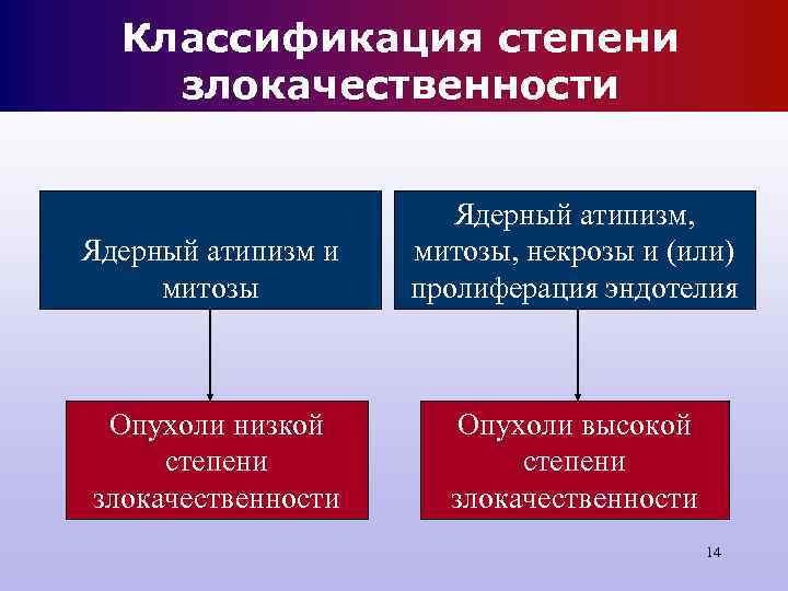 Классификация степени злокачественности Ядерный атипизм, Классификация степени злокачественности Ядерный атипизм,
