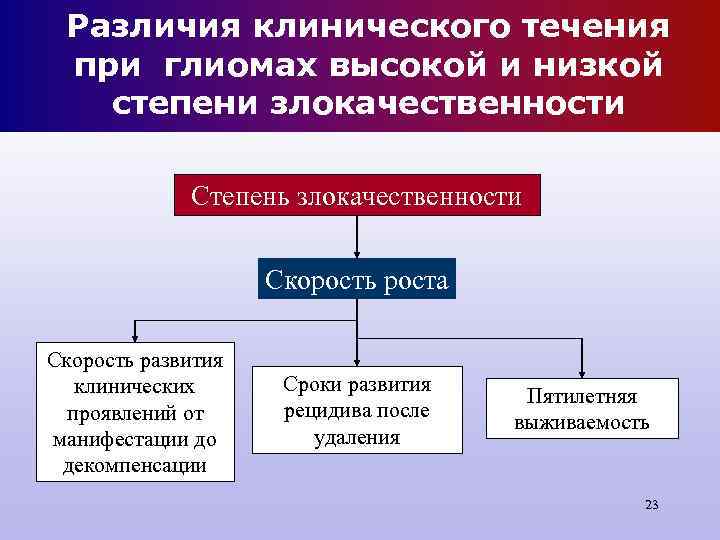 Различия клинического течения при глиомах высокой и низкой степени злокачественности Различия клинического течения при глиомах высокой и низкой степени злокачественности