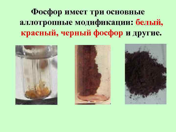  Фосфор имеет три основные аллотропные модификации: белый,      белый