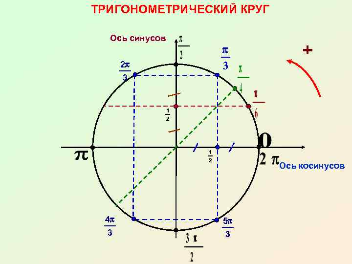 Ось круга