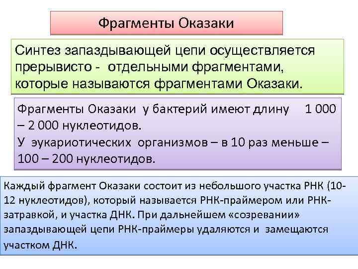 3 фрагментом называется