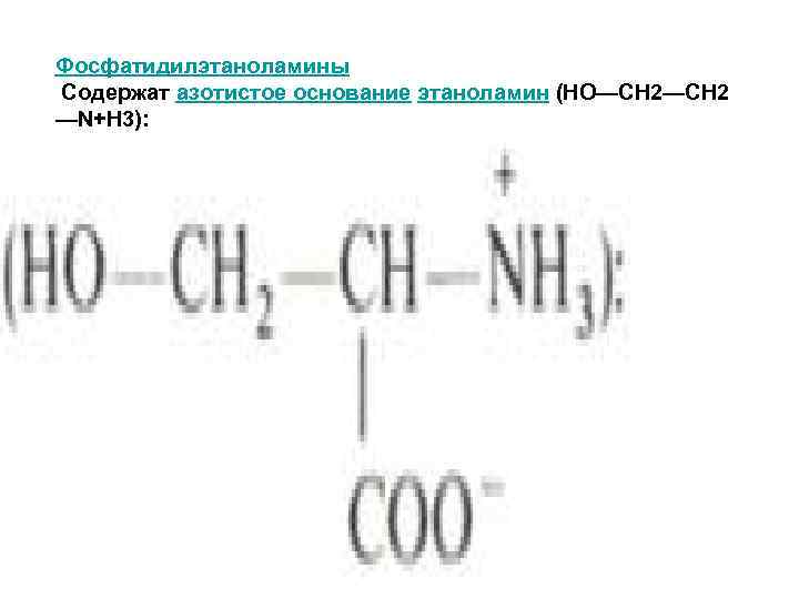     Фосфатидилэтаноламины Содержат азотистое основание этаноламин (HO—CH 2 —N+H 3): 
