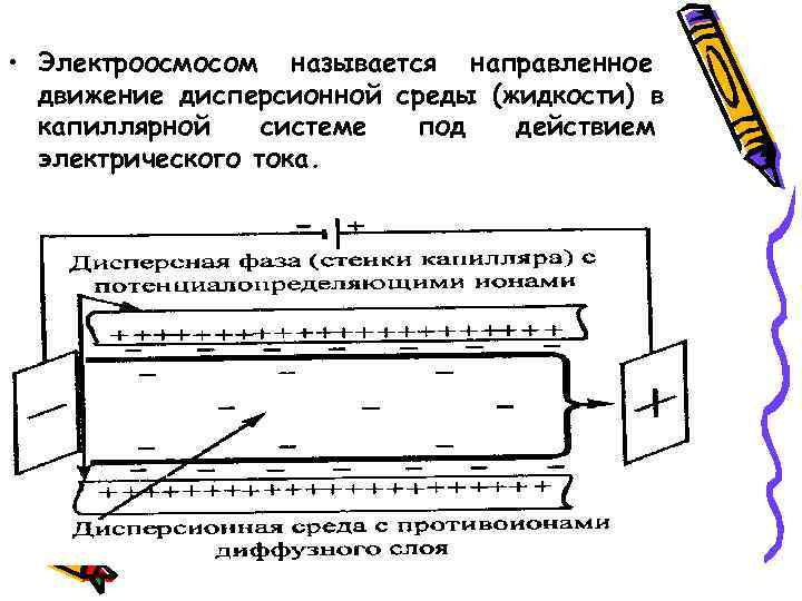  • Электроосмосом называется направленное  движение дисперсионной среды (жидкости) в  капиллярной системе