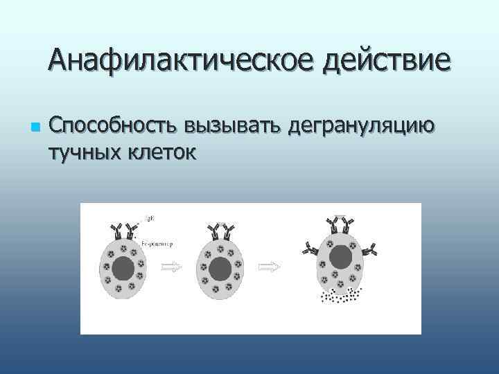   Анафилактическое действие n  Способность вызывать дегрануляцию тучных клеток 