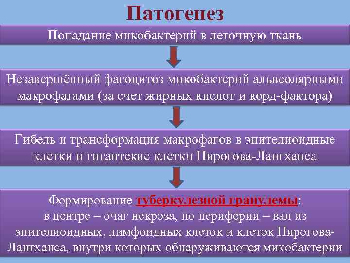    Патогенез  Попадание микобактерий в легочную ткань  Незавершённый фагоцитоз микобактерий
