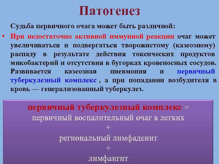      Патогенез  Судьба первичного очага может быть различной: 