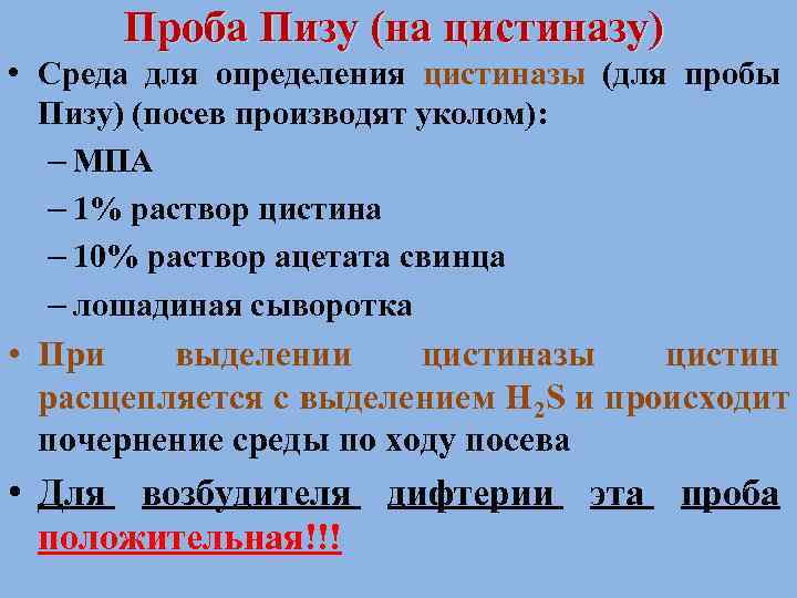  Проба Пизу (на цистиназу) • Среда для определения цистиназы (для пробы  Пизу)