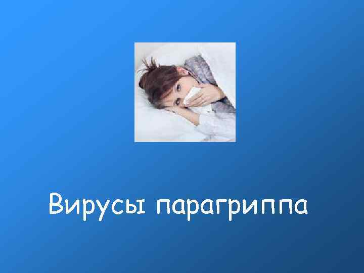 Вирусы парагриппа Вирусы парагриппа