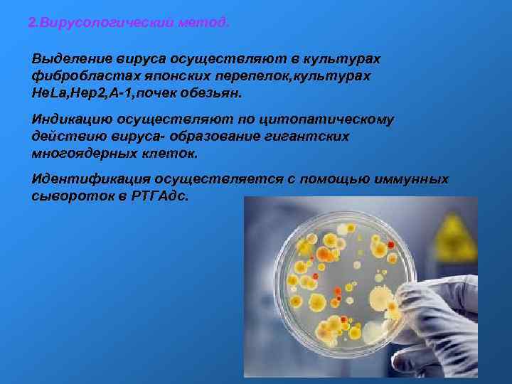 2. Вирусологический метод. Выделение вируса осуществляют в культурах фибробластах японских перепелок, культурах He. 2. Вирусологический метод. Выделение вируса осуществляют в культурах фибробластах японских перепелок, культурах He.