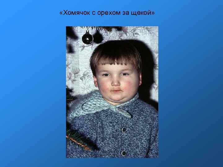 «Хомячок с орехом за щекой» «Хомячок с орехом за щекой»