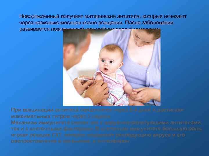 Новорожденный получает материнские антитела, которые исчезают через несколько месяцев после рождения. После Новорожденный получает материнские антитела, которые исчезают через несколько месяцев после рождения. После