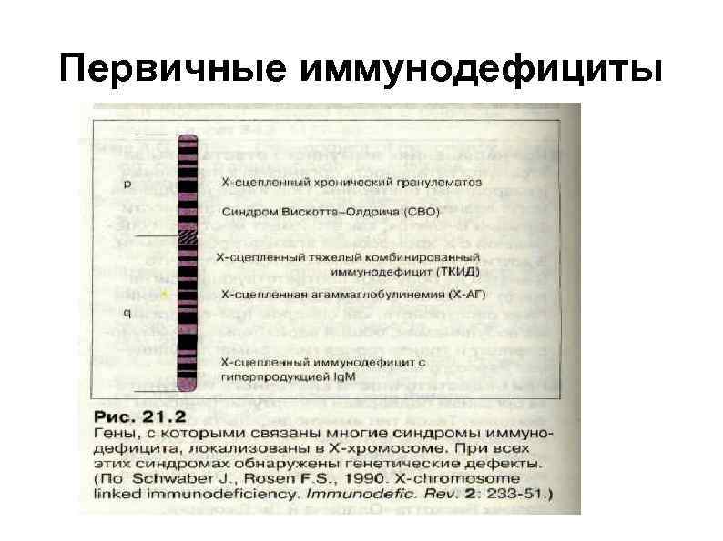 Первичные иммунодефициты 